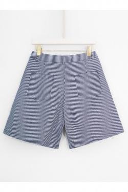 P325-BLEU