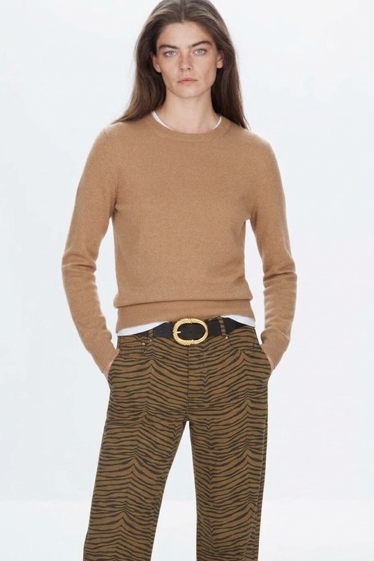 6821-CAMEL