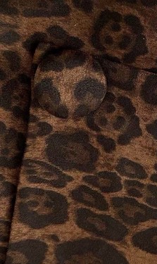J11228-LEOPARD