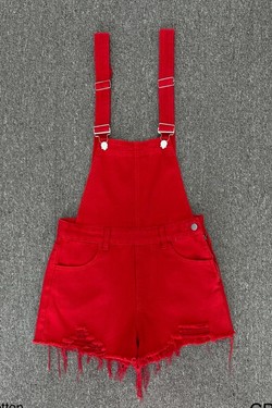 CB5310-ROUGE