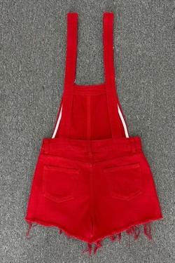 CB5310-ROUGE