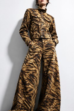 EC7999--LEOPARD