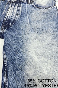 P15309-BLEU
