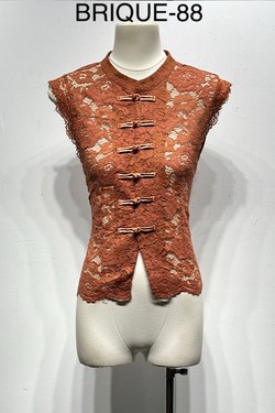 H13329-BRIQUE