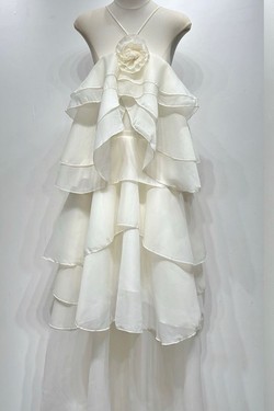 R12679-ROSE