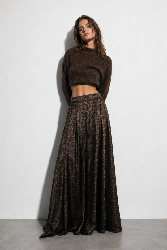 J11619-1-LEOPARD