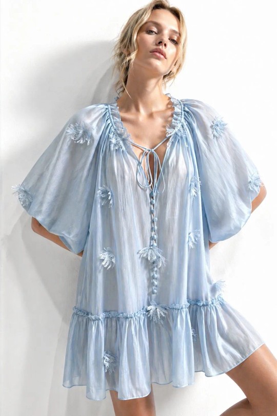 R11092-BLEU