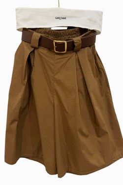 C3815-U-CAMEL