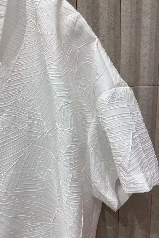 60073-BLANC