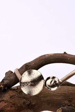 C57013-ARGENT