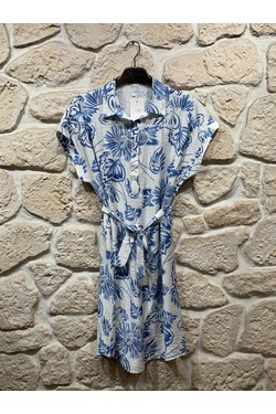 R290-13-BLEU