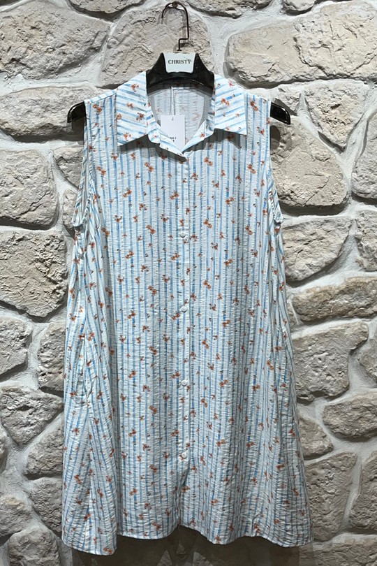 R642-2-BLEU