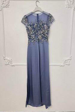 R8356-ANIS