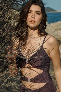AT1VT2521-VIOLET
