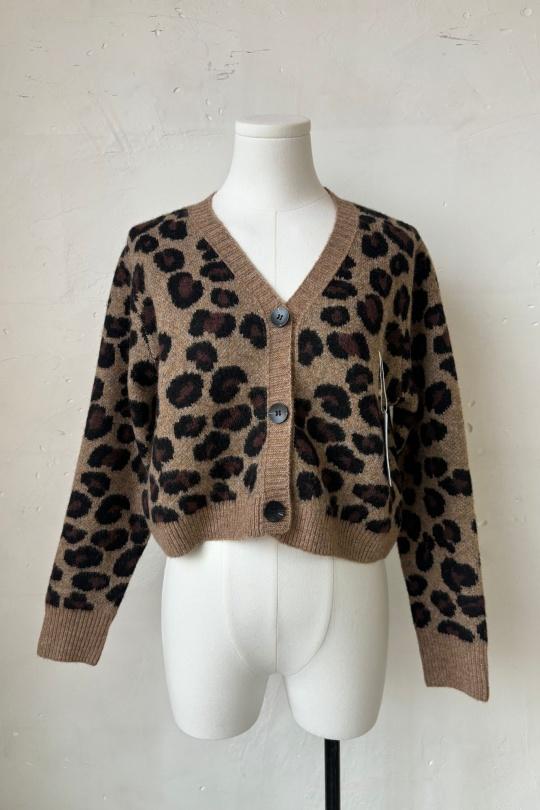 RM5069-LEOPARD