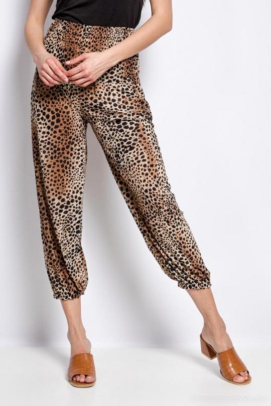 1906& LÉOPAR-LEOPARD