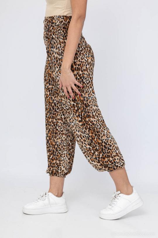 1906-LEOPARD