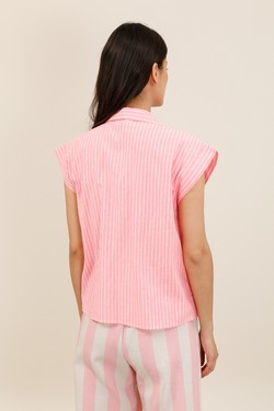X204-ROSE