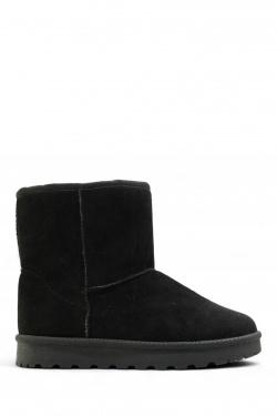 733-19-NOIR