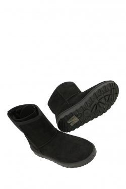 733-19-NOIR