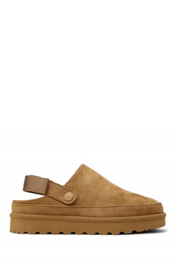 2599-0507-CAMEL