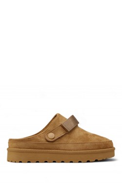 2599-0507-CAMEL