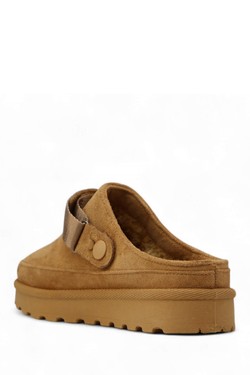 2599-0507-CAMEL