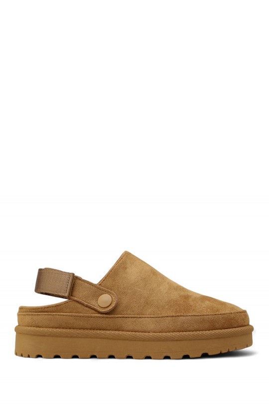 2599-0507-CAMEL