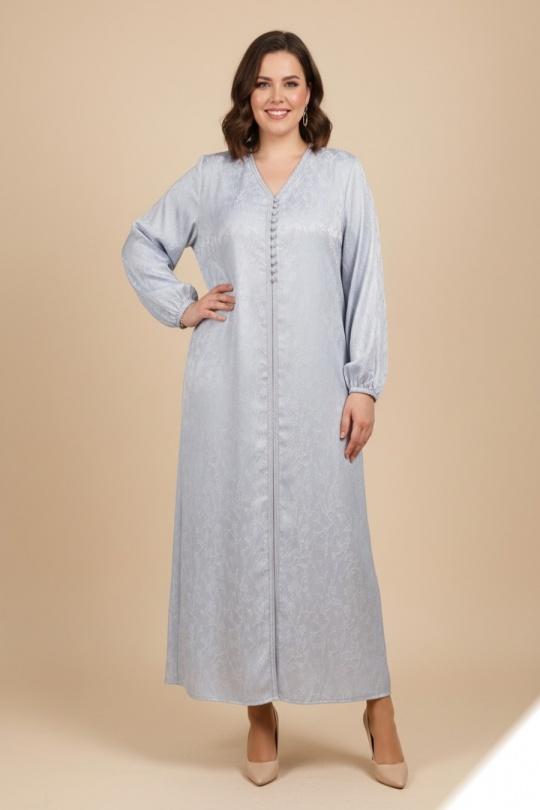 Y001-ARGENT