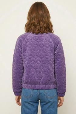 IJ26073-VIOLET