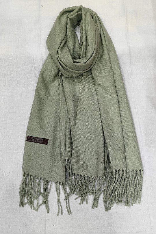H 55-VERT DEAU