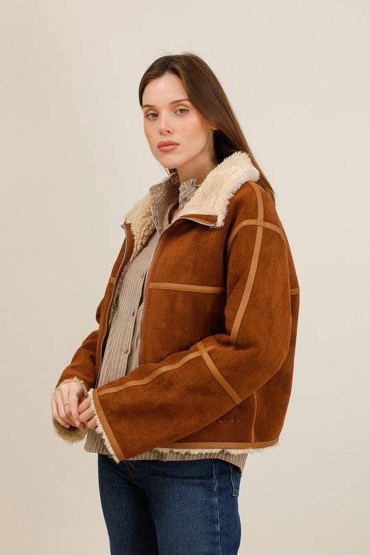 AT8673-CAMEL