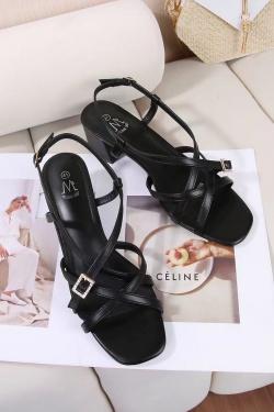 DMS313-39 GRANDE POINTURE-NOIR