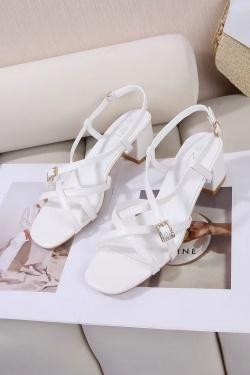 DMS313-39 GRANDE POINTURE-NOIR