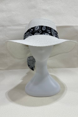 XY-2617-NOIR