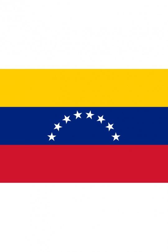 DRAP150X90_VENEZUELA-MOTIFS