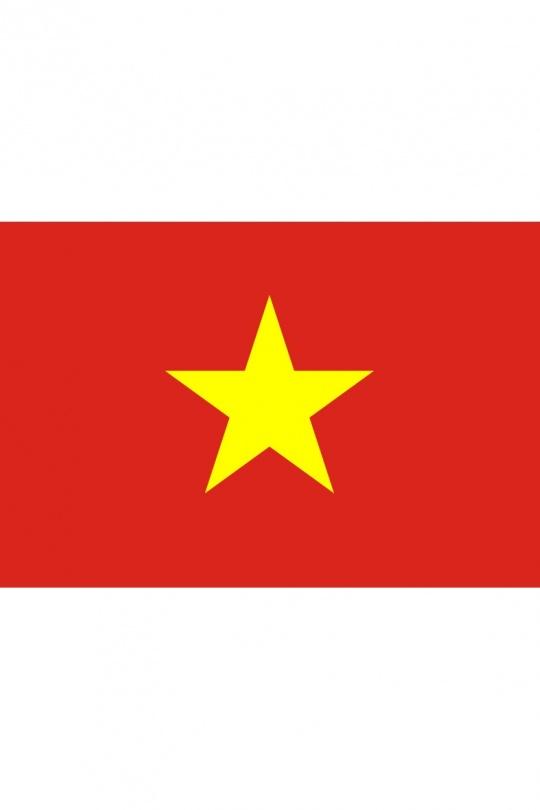 DRAP150X90_VIETNAM-MOTIFS