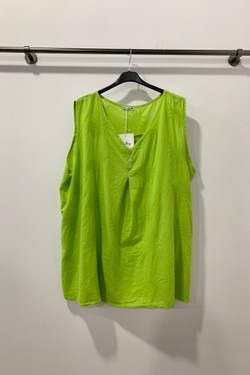 26270-VERT ANIS