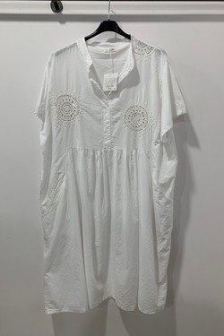 26308-VERT ANIS