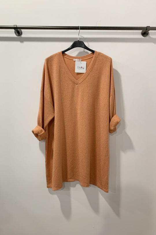 3195-CORAIL