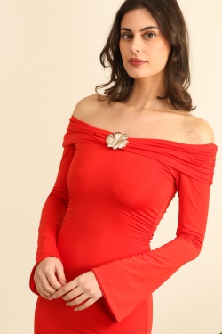 VD2134-ROUGE