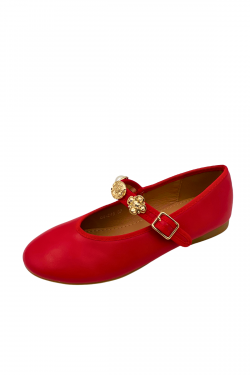 QQ-245-MARRON