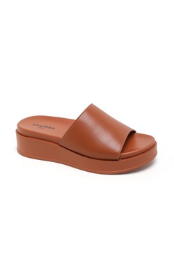 78-205-CAMEL