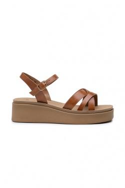 ZS12-CAMEL