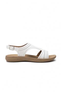 ZS17-BEIGE
