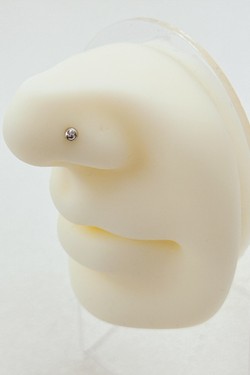 PIER16-ARGENT