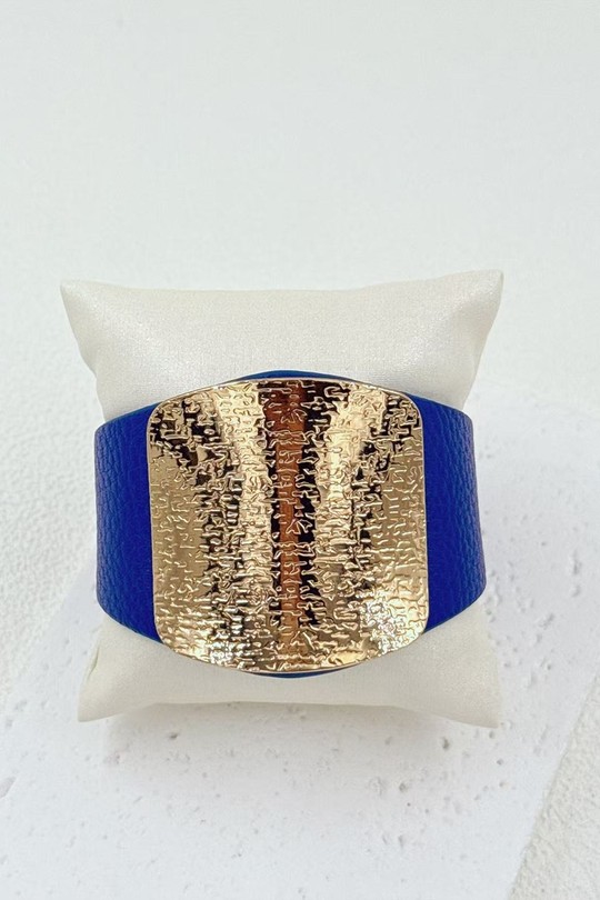 FH6158201A1-BLEU ROI