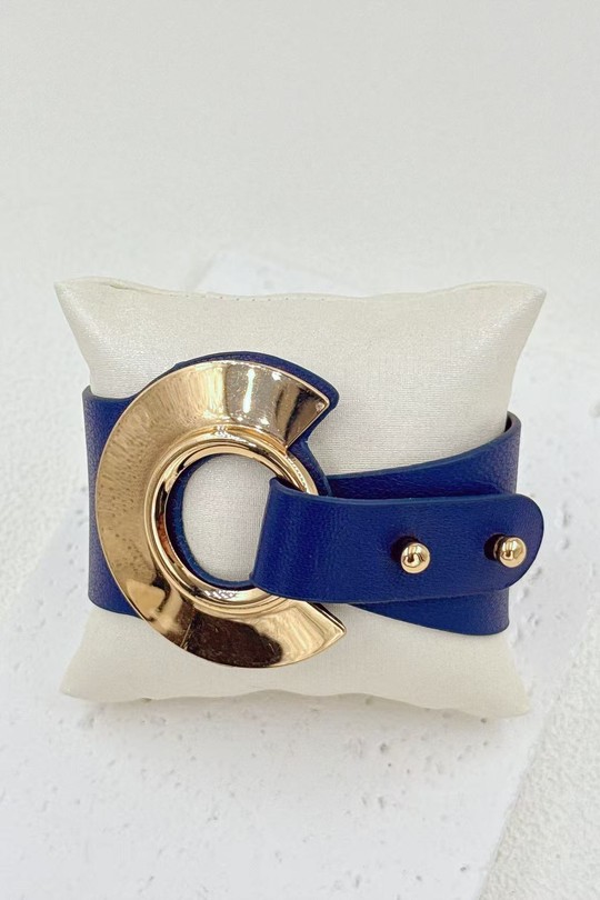 FH6158202A-BLEU ROI