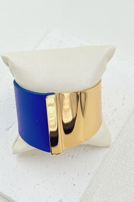 FH6158209A-BLEU ROI