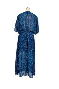 101620-BLEU